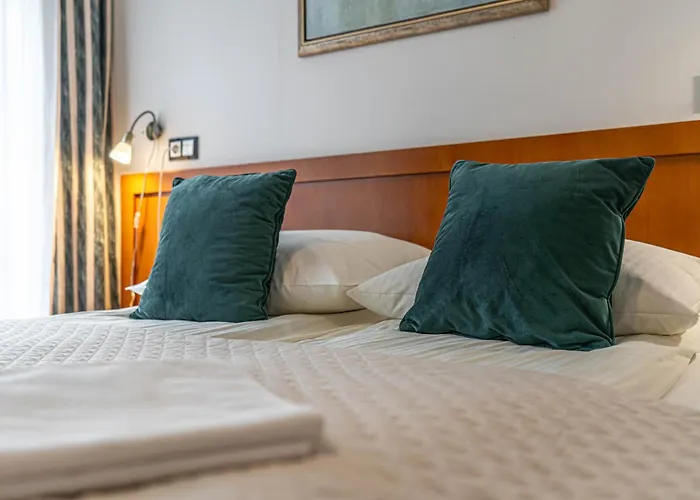 Hotel apartamentowy Ornak